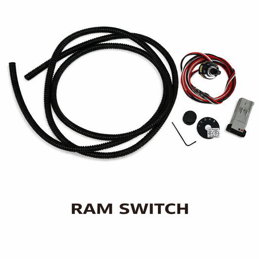 RAM Switch